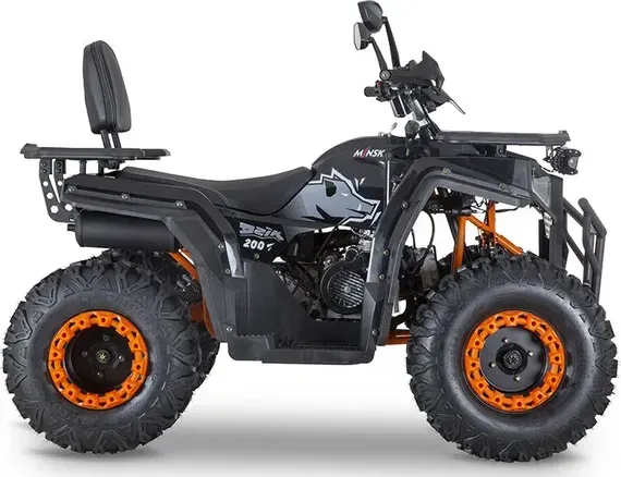 Квадроцикл Minsk Dzik 200